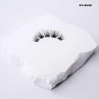 Nº6 Muse
